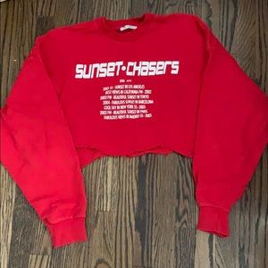 Red Cropped top sweater